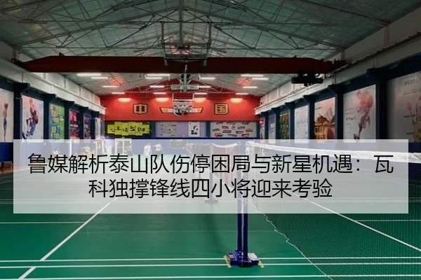 鲁媒解析泰山队伤停困局与新星机遇：瓦科独撑锋线四小将迎来考验 - TIANBO